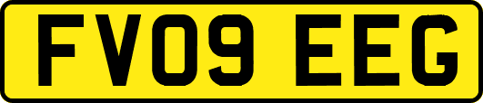 FV09EEG