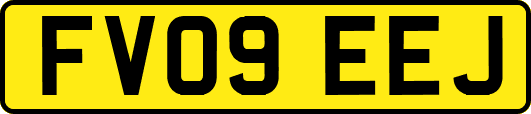 FV09EEJ