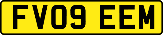 FV09EEM