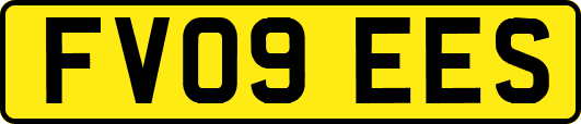 FV09EES