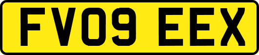 FV09EEX