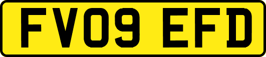 FV09EFD