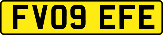 FV09EFE