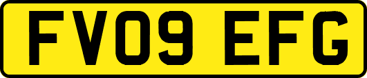 FV09EFG