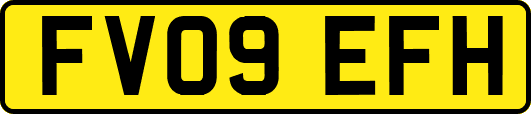 FV09EFH
