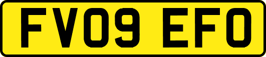 FV09EFO
