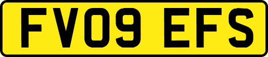 FV09EFS