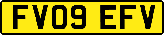 FV09EFV