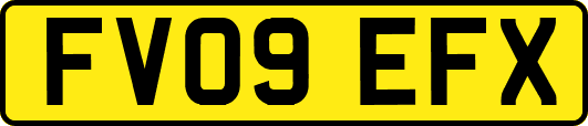 FV09EFX