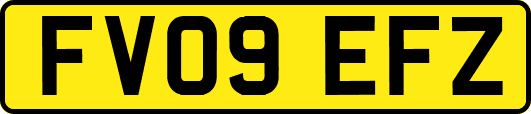 FV09EFZ