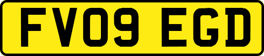 FV09EGD