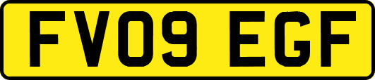 FV09EGF