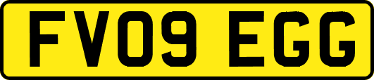 FV09EGG