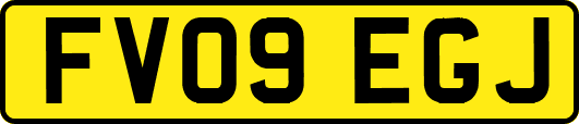 FV09EGJ