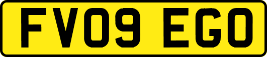 FV09EGO