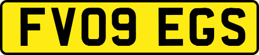 FV09EGS