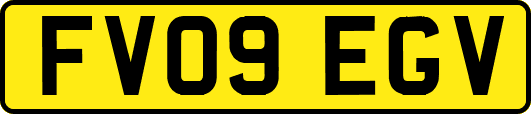 FV09EGV