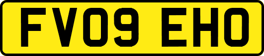 FV09EHO