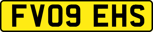 FV09EHS