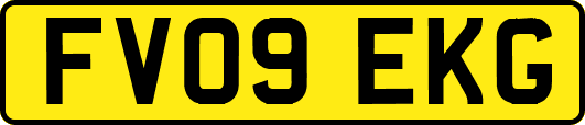 FV09EKG