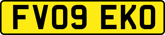 FV09EKO