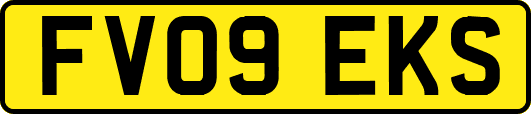FV09EKS