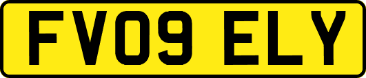 FV09ELY