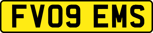 FV09EMS