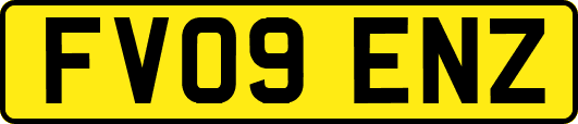 FV09ENZ