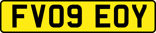 FV09EOY