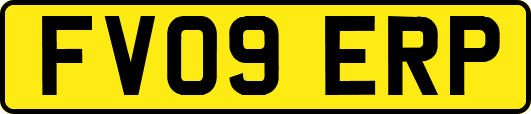 FV09ERP