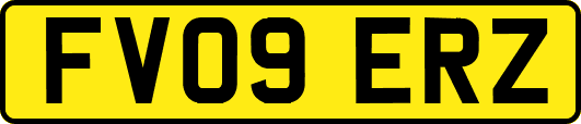 FV09ERZ