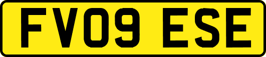 FV09ESE