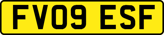 FV09ESF
