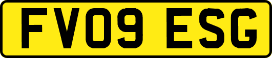 FV09ESG