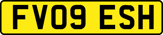 FV09ESH