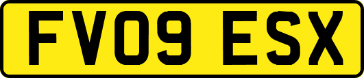 FV09ESX