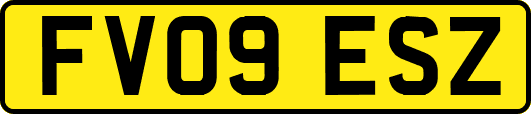 FV09ESZ