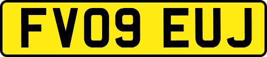 FV09EUJ
