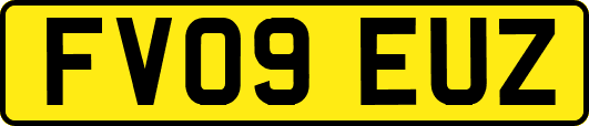 FV09EUZ