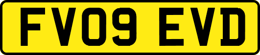 FV09EVD