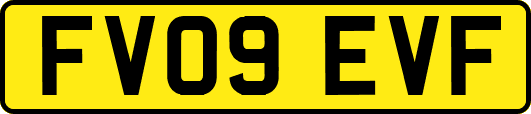 FV09EVF