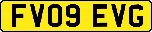 FV09EVG