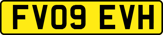 FV09EVH