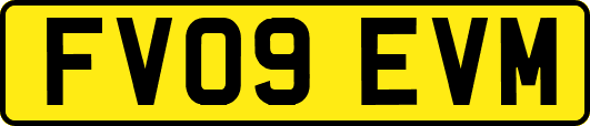 FV09EVM