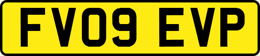 FV09EVP