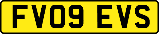 FV09EVS