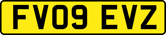 FV09EVZ