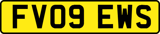 FV09EWS