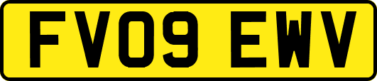 FV09EWV